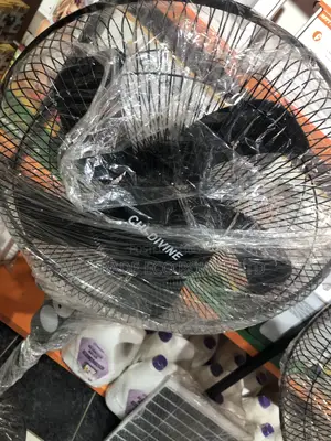 Rechargeable Fan