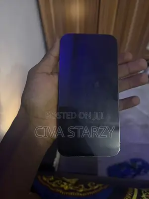 Apple iPhone 13 Pro Max 128 GB Gray