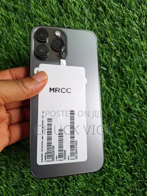 Apple iPhone 13 Pro Max 256 GB Gray