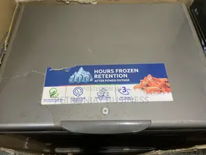 Haier Thermocool Chess Freezer