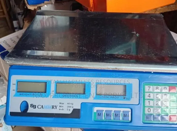 40kg Camry Scale