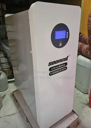 15kwh / 51.2v Soonest Lithium-Ion Battery