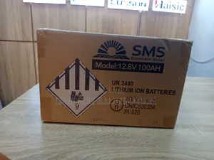 100a 12v SMS Lithium Ion Battery