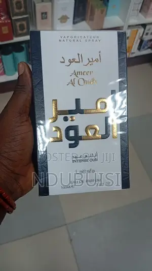 Ameer Al Oudh