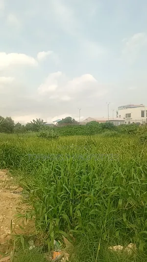 33 Plots Together at Agidingbi Alausa Ikeja