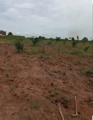 One Acre of Farmland for Sale in Ogun State