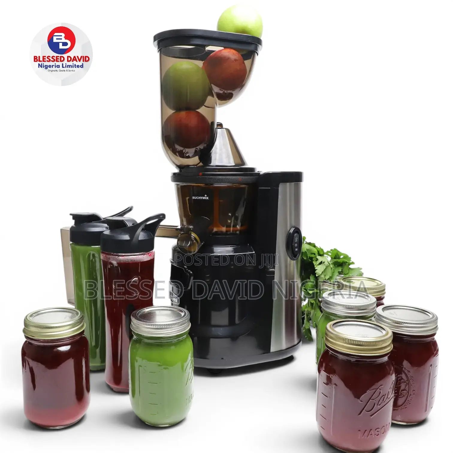 Buchymix Bj-150 Masticating Cold Pressed Juicer With High Torque Motor