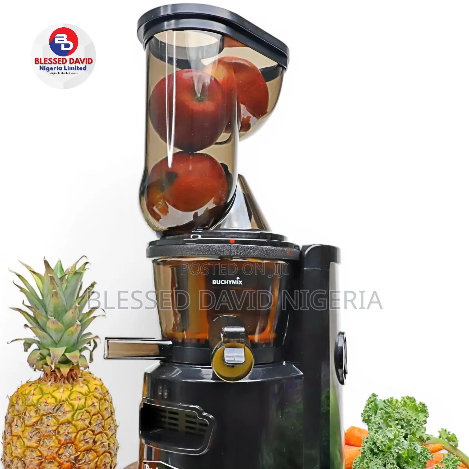 Buchymix Bj-150 Masticating Cold Pressed Juicer With High Torque Motor