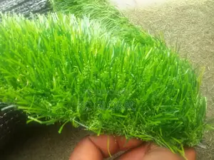 25mm Green Green Artificial Grass Available Abuja Colors Available