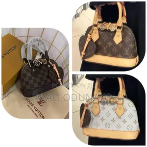 Classy Female Hand Bag