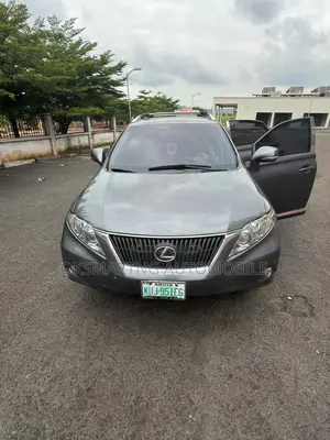 Lexus RX 350 2010 Gray