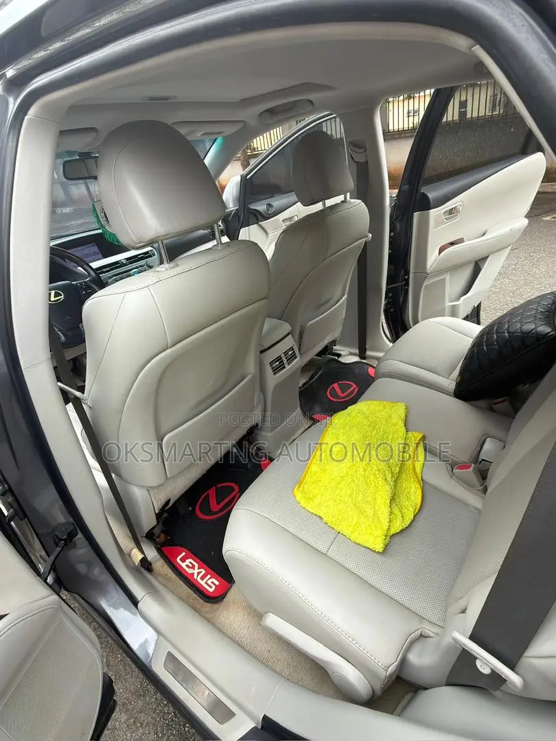 Lexus RX 350 2010 Gray