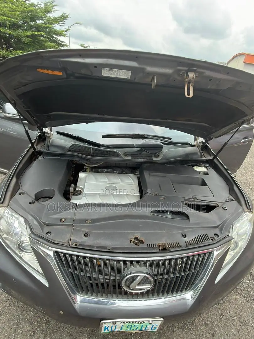 Lexus RX 350 2010 Gray