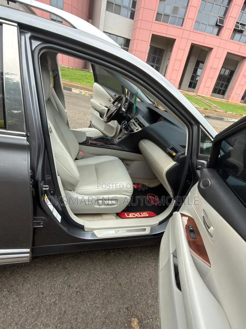 Lexus RX 350 2010 Gray