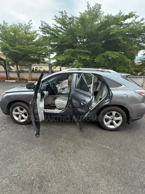 Lexus RX 350 2010 Gray