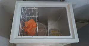Haier Thermocool Freezer and Fridge
