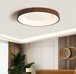 Nordic Living Room and Dining Room Ceiling Lamp,