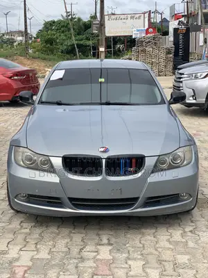 BMW 320i Sedan RWD 2009 Blue
