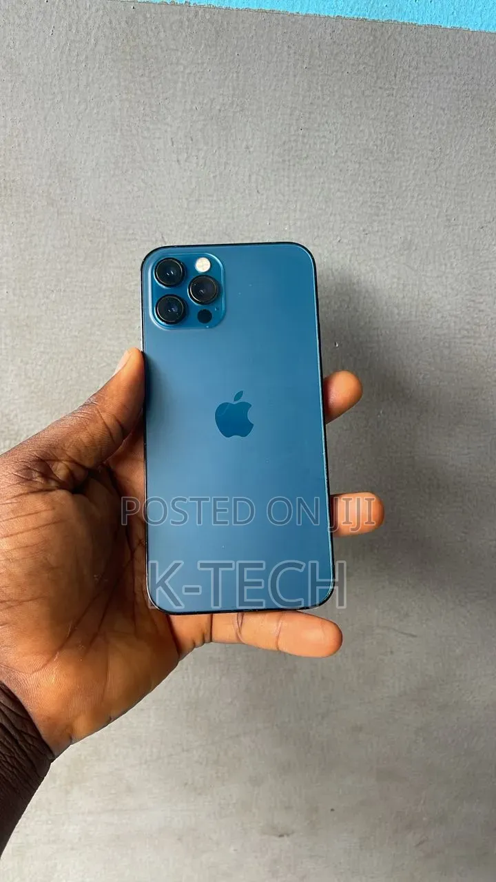 Apple iPhone 12 Pro 256 GB Gray