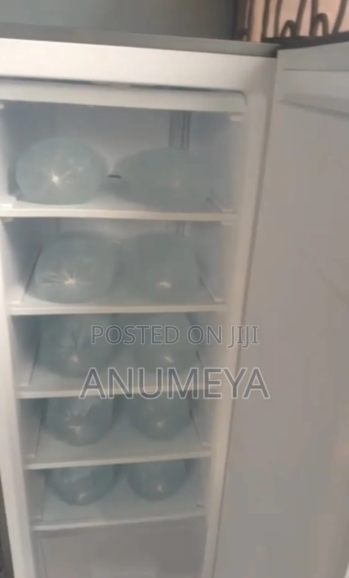 Tamashi Upright Freezer