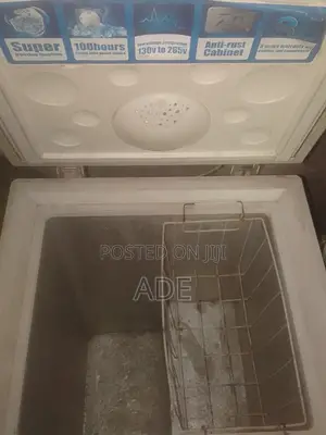 Haier Thermocool Freezer
