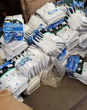 Disposable Coverall (Painters Suit)