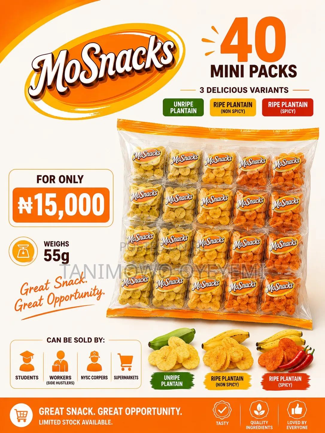 Plantain Chips 40 in 1