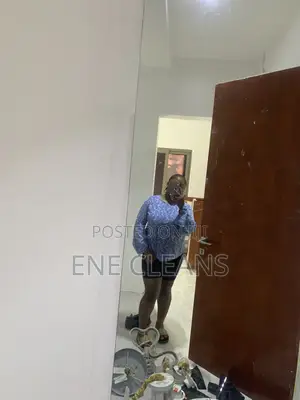 Home And Office Cleaner