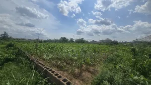 A Full Plot of Land in Akobo Ibadan.