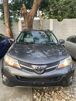 Toyota RAV4 XLE 4dr SUV (2.5L 4cyl 6A) 2014 Gray