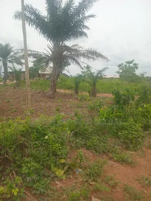 1000 Acres For Farmland For Sale At Igbedu Village, Obafe Owode Local