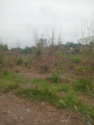 500 Acres of Farmland for Sale at Per Acre, at Onigbogbo