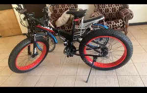 Simba Bicycle