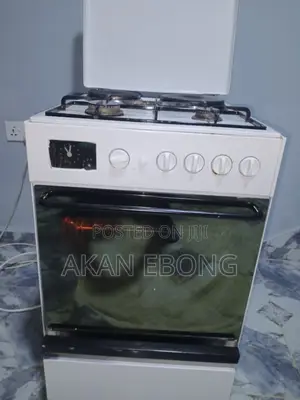 Electric/ Gas Cooker (With Oven and Hotplate)