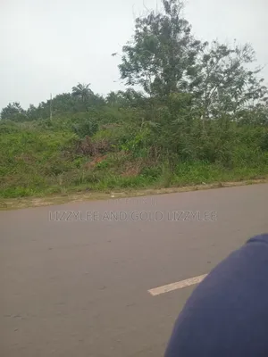 Farmland for Sale Located at Ayetoro Yewa North Lg, at Per Acre
