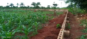 Land for Sale 100 by 100