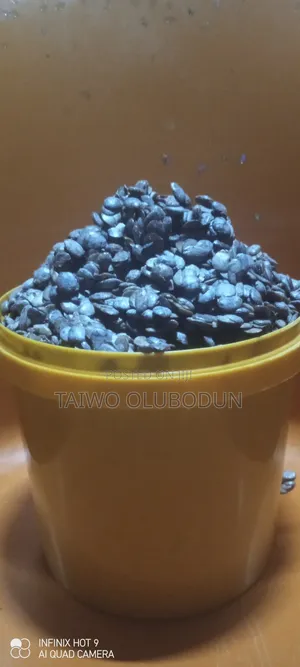 Wholesale And Retail Locust Beans Available