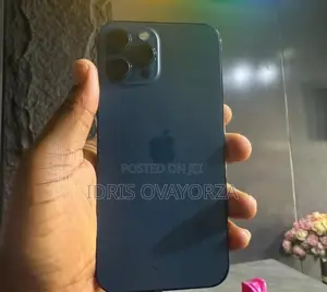 Apple iPhone 12 Pro Max 256 GB Gray