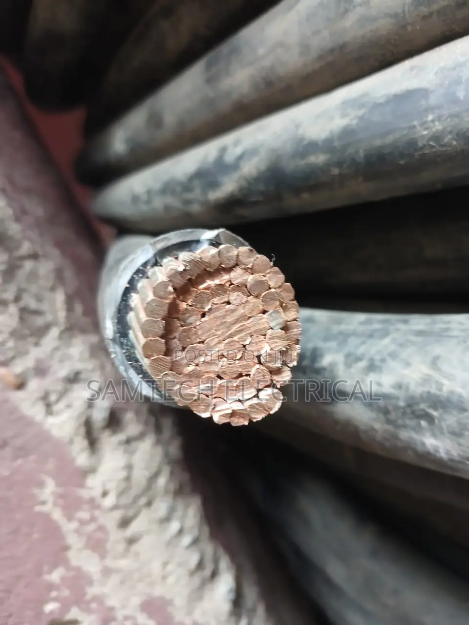 Coleman Cable Single 500mm