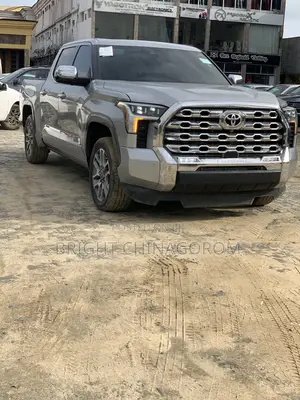 Toyota Tundra 1794 Edition CrewMax 5.5' Bed 2023 Silver