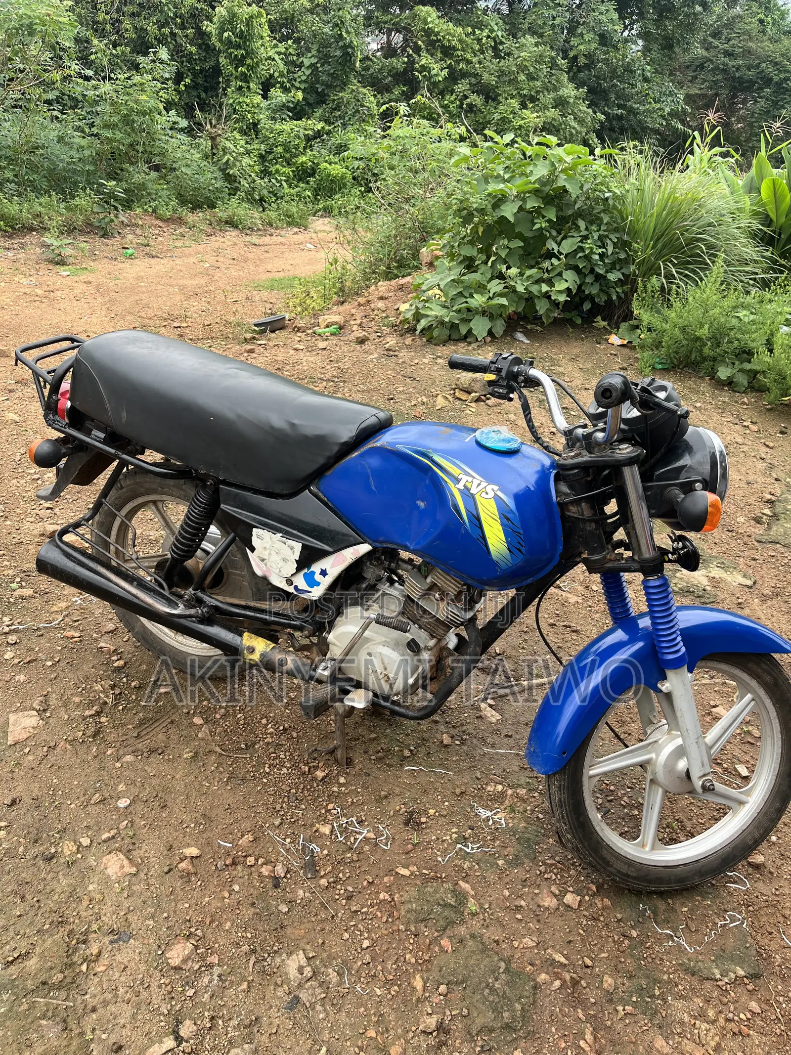 TVS 2024 Blue