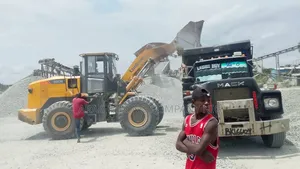 Wonder Irons Mining Chipping