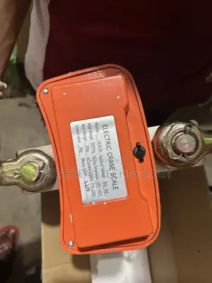 Electric Crane Scale