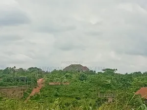 Distress Sale: Partially Fenced Half Plot Close to RCCG New Auditorium