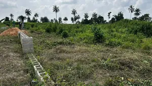 Ibefun Land With Certificate of Occupancy in View, Registered Survey