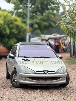 Peugeot 206 2004 Silver
