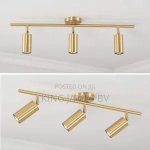 Luxurious Golden Track Light