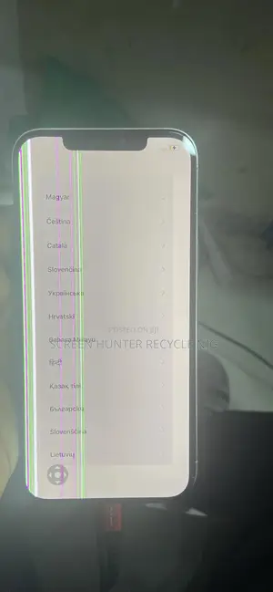 iPhone 12 Pro Max Follow Come Screen