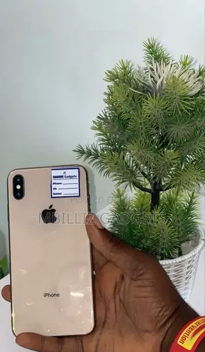Apple iPhone XS Max 64 GB Rose Gold