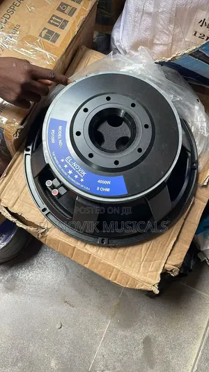 15 Inches Naked Speaker With Big Magnet
